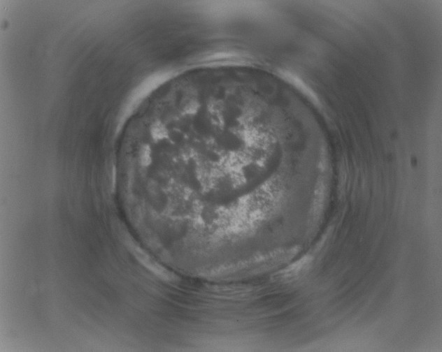 X0000067951413200604272048