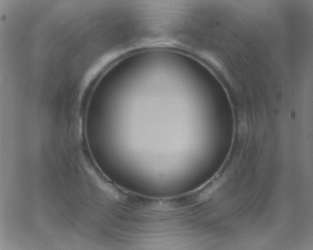 X0000067951414200604272048