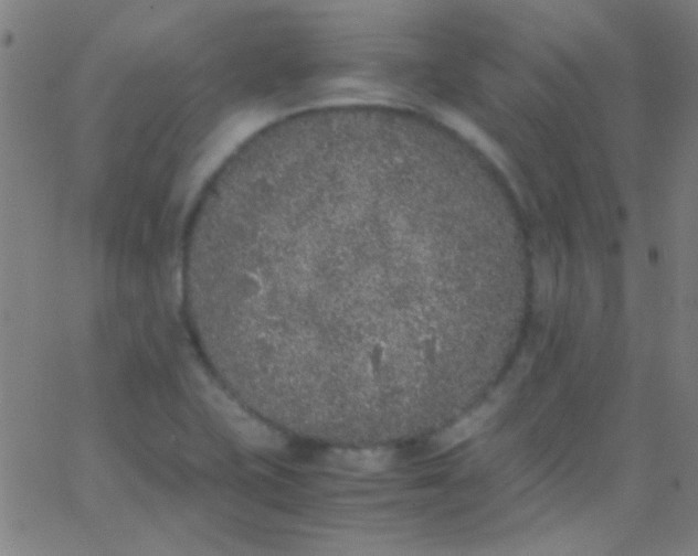 X0000067951415200604272048