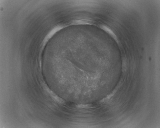 X0000067951419200604272048