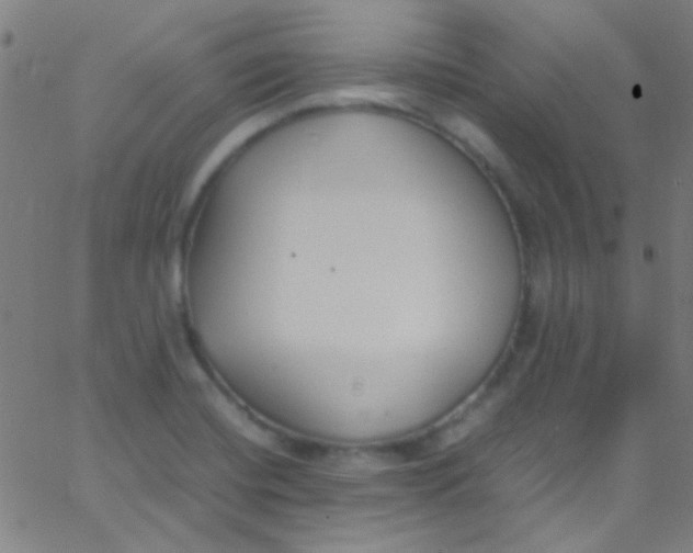 X0000067951420200604272048