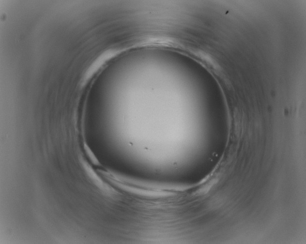 X0000067951422200604272048