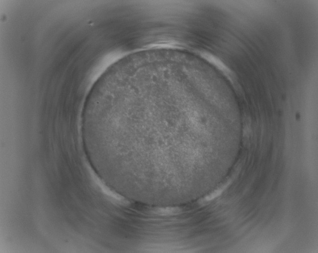 X0000067951423200604272048