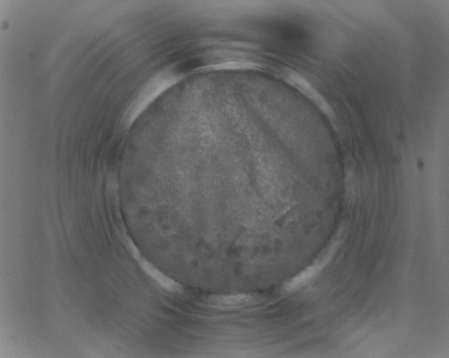 X0000067951425200604272048