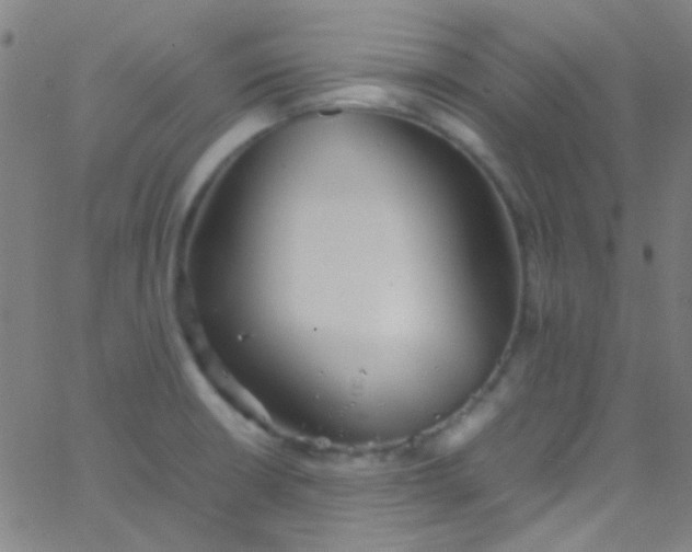 X0000067951426200604272048