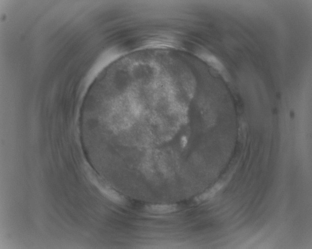 X0000067951427200604272048