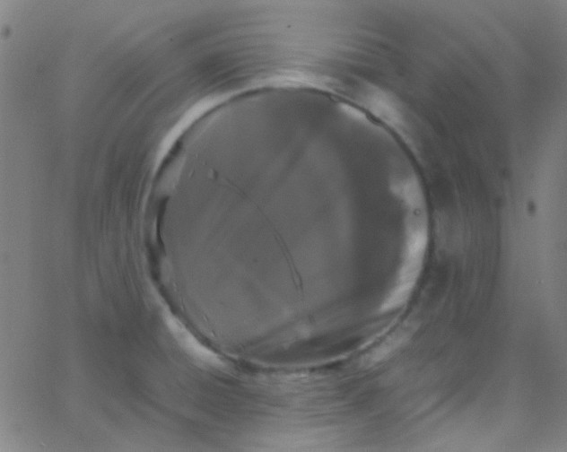 X0000067951428200604272048