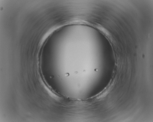 X0000067951430200604272048