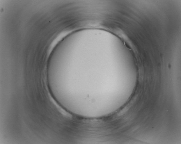 X0000067951432200604272048