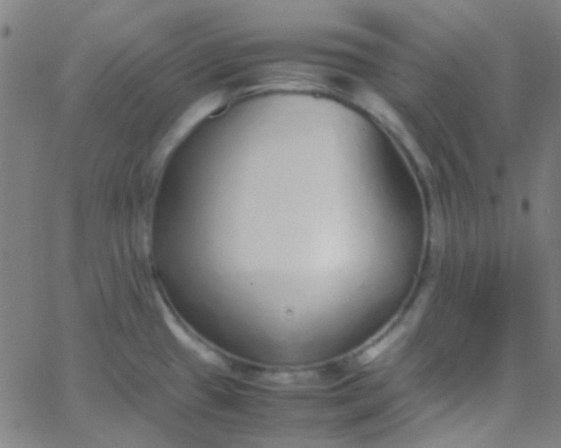 X0000067951433200604272048