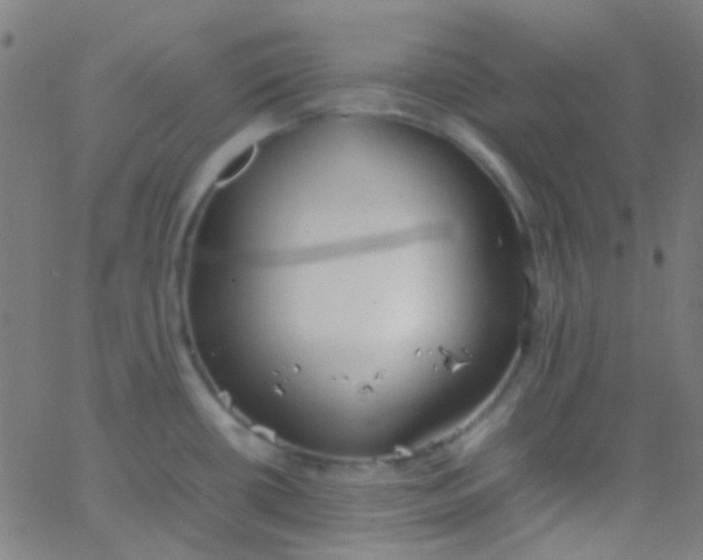 X0000067951434200604272048