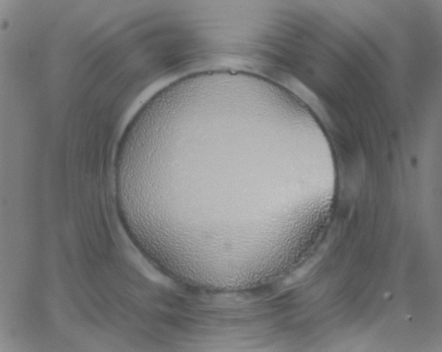 X0000067951436200604272048