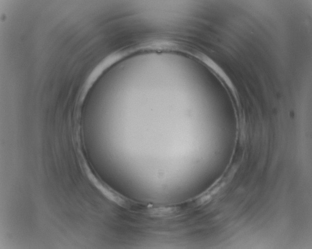 X0000067951437200604272048