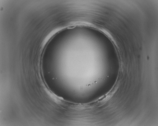 X0000067951438200604272048