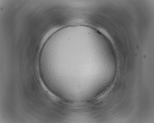 X0000067951440200604272048