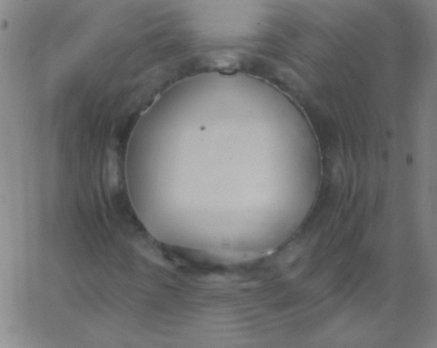 X0000067951442200604272047