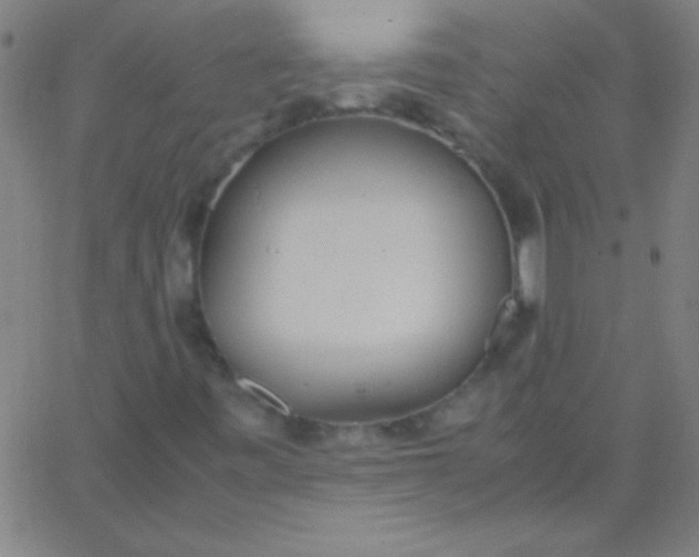 X0000067951443200604272047