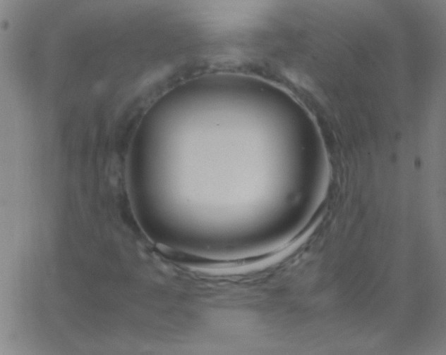 X0000067951445200604272047