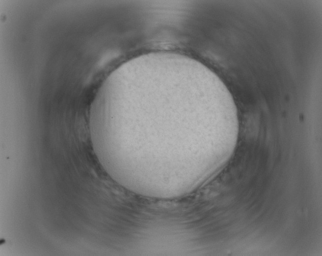 X0000067951446200604272047