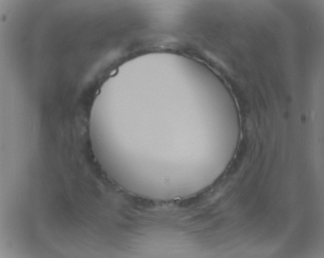 X0000067951447200604272047