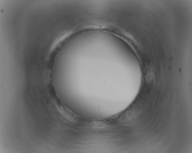 X0000067951448200604272047