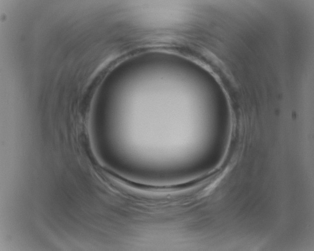 X0000067951449200604272047