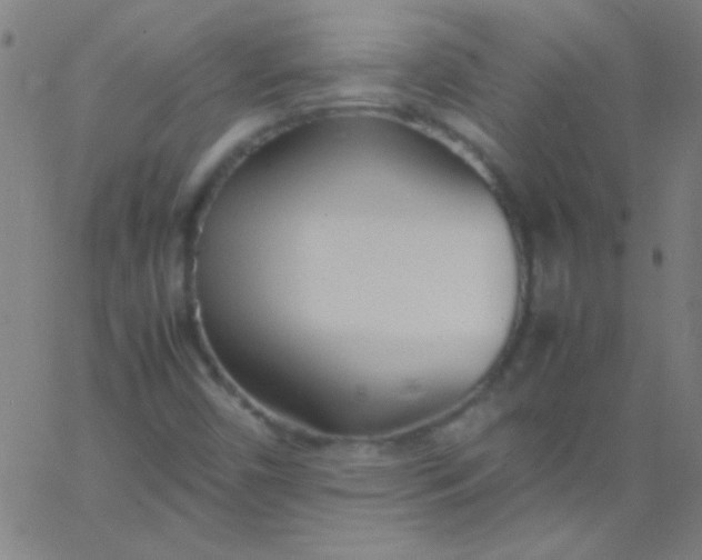 X0000067951450200604272047