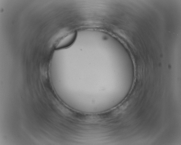 X0000067951451200604272047