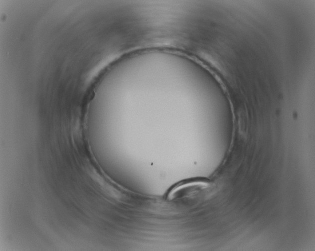 X0000067951452200604272047