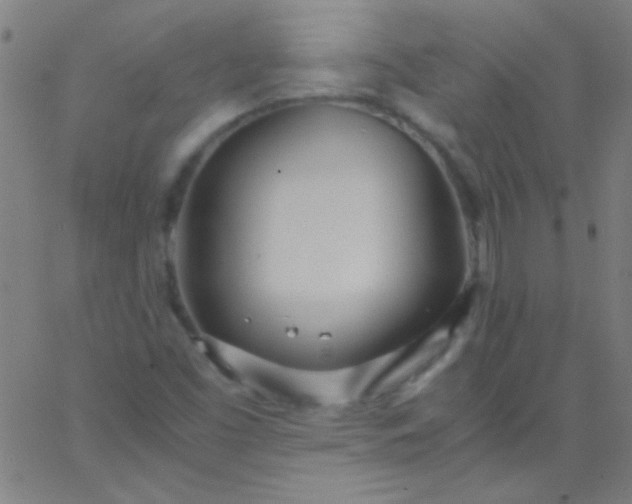 X0000067951453200604272047