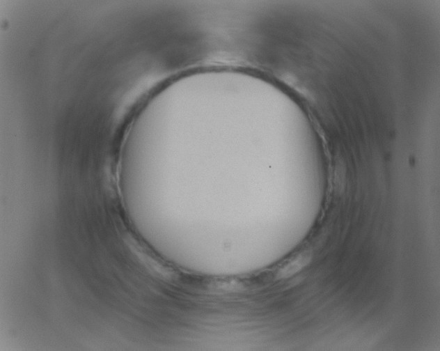 X0000067951454200604272047