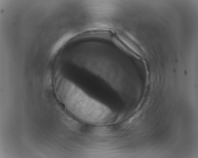 X0000067951455200604272047