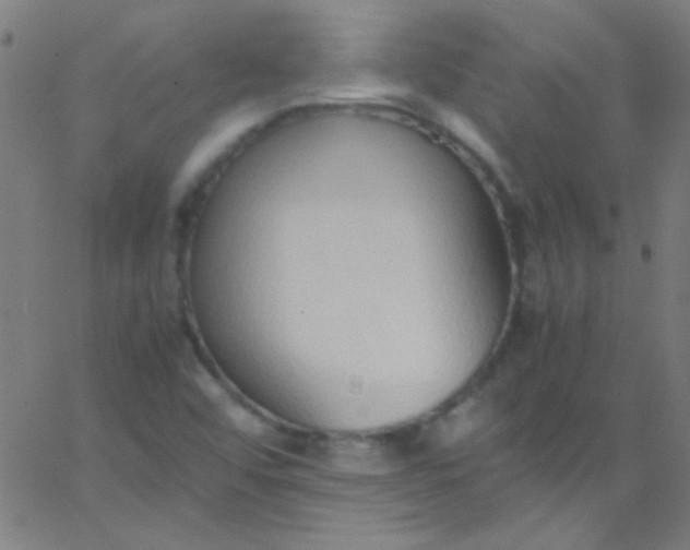 X0000067951456200604272047