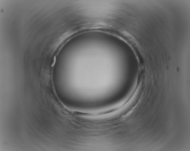 X0000067951457200604272047