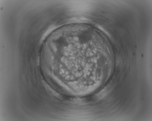 X0000067951459200604272047