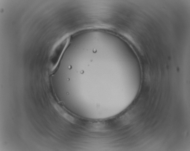 X0000067951460200604272047