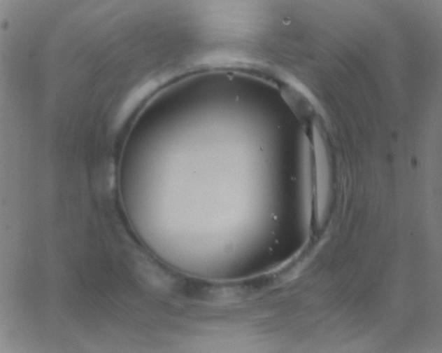 X0000067951461200604272047