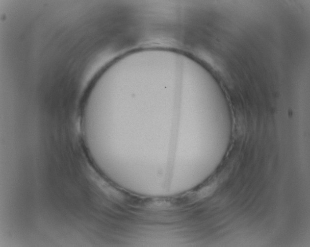 X0000067951462200604272047