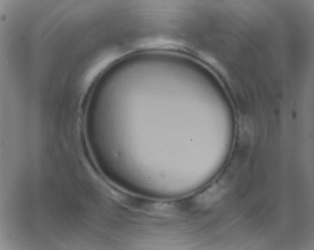 X0000067951463200604272047