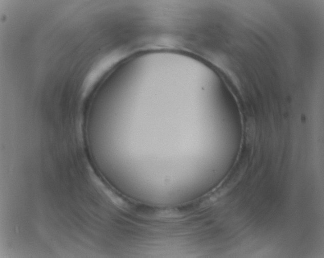 X0000067951464200604272047