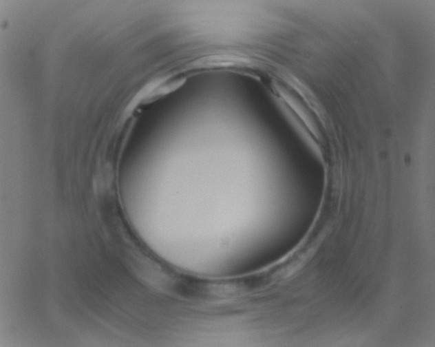 X0000067951465200604272047