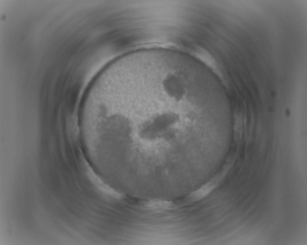 X0000067951466200604272047