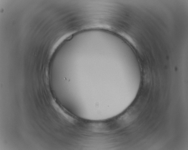 X0000067951468200604272047