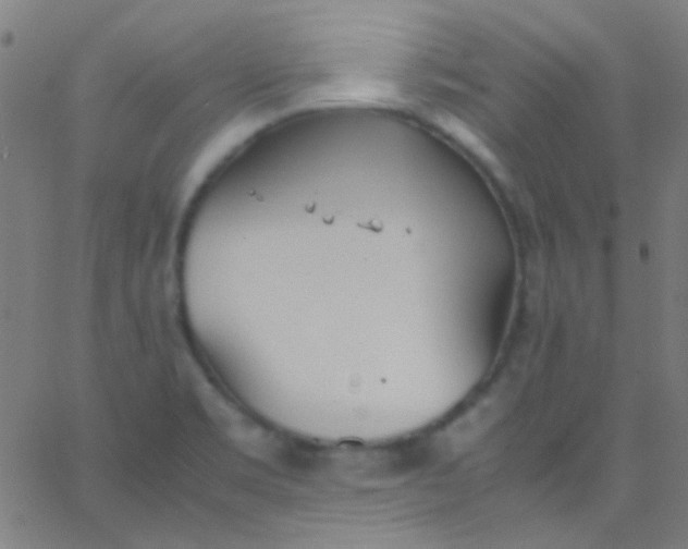 X0000067951469200604272047