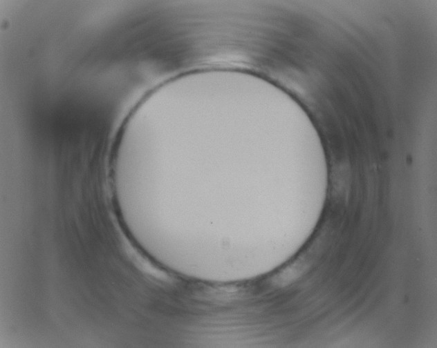 X0000067951470200604272047