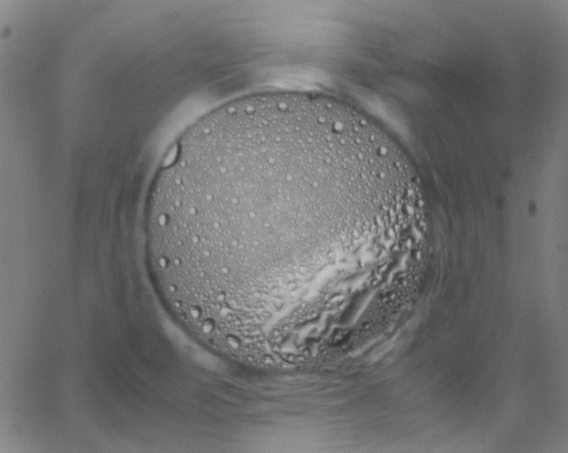 X0000067951471200604272047