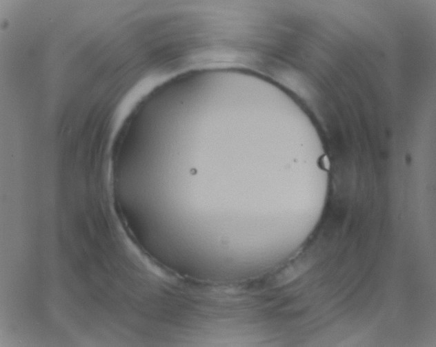 X0000067951472200604272047