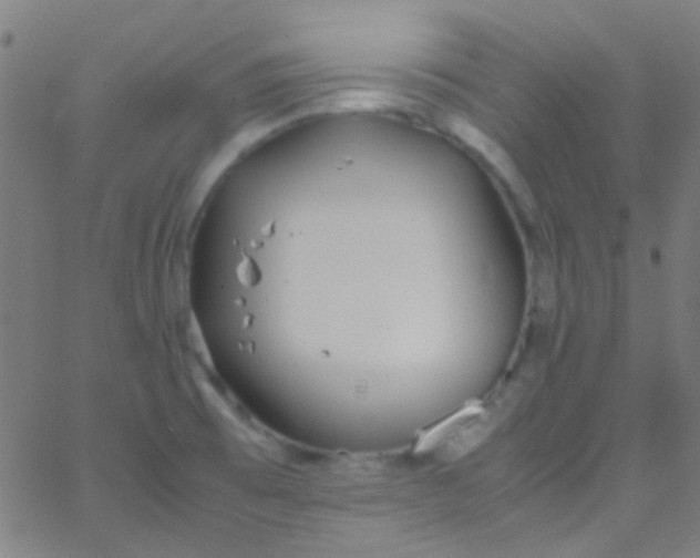 X0000067951473200604272047