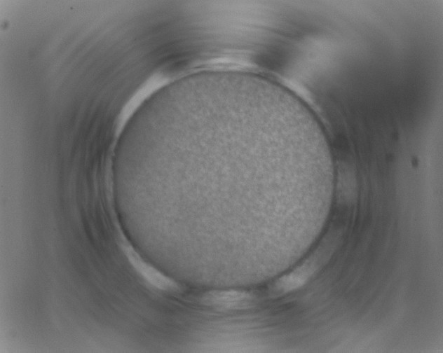 X0000067951474200604272047