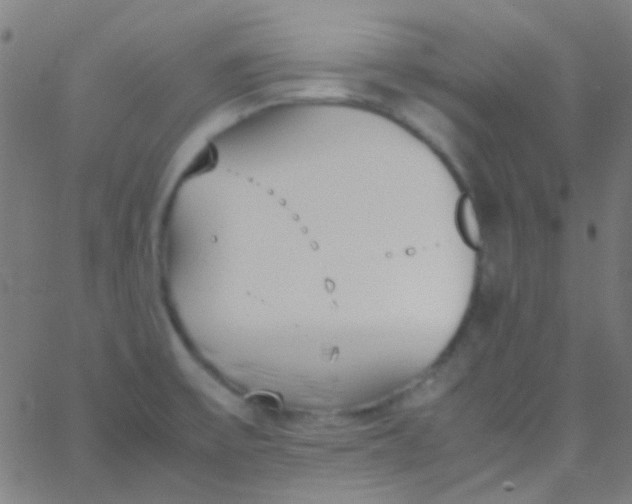 X0000067951475200604272047